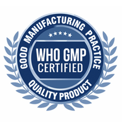 who - gmp - logo